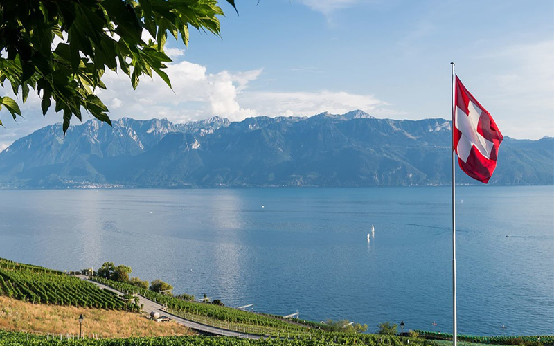 Swiss Education Group